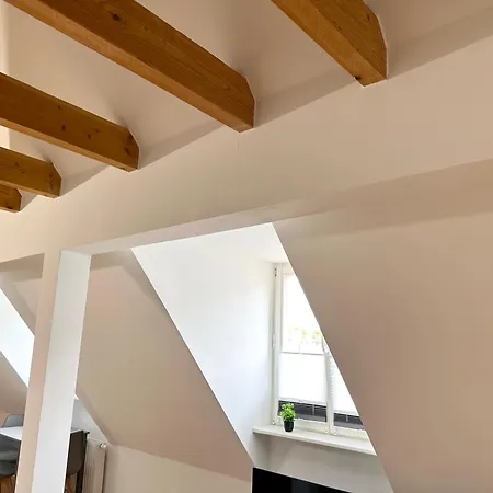 Bella Casa-business&family,100m Zum Konzerteingang Schloß, Parkplatz, Smarttv, Netflix, Waschmaschine, 24h Checkin, 30qm, Ap 15