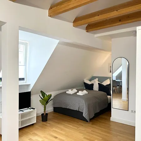 Bella Casa-business&family,100m Zum Konzerteingang Schloß, Parkplatz, Smarttv, Netflix, Waschmaschine, 24h Checkin, 30qm, Ap 15